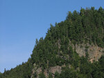 navigational icon