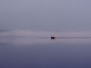 navigational icon