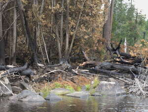 forest fire on High Falls Lake  2019 Aug 18