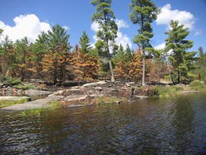 forest fire on High Falls Lake  2019 Aug 18