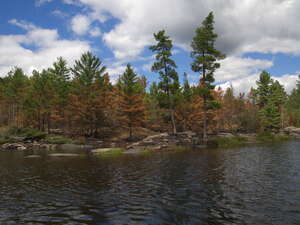 forest fire on High Falls Lake2019 Aug 22  moving day