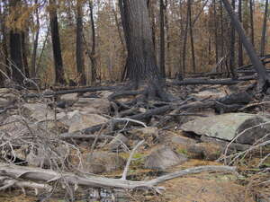 forest fire on High Falls Lake2019 Aug 22  moving day