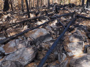 aftermath of forest fire on High Falls Lake photo from 2017 September 02