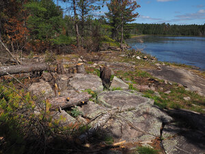 aftermath of forest fire on High Falls Lake photo from 2017 September 02