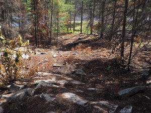 aftermath of forest fire on High Falls Lake photo from 2017 September 02
