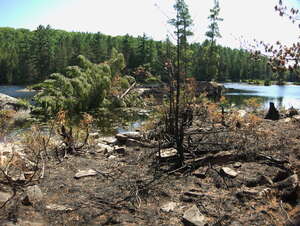 aftermath of forest fire on High Falls Lake photo from 2017 September 02