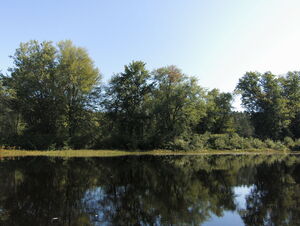 Whitson Lake in Algonquin Provincial Park