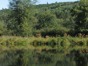 Whitson Lake in Algonquin Provincial Park
