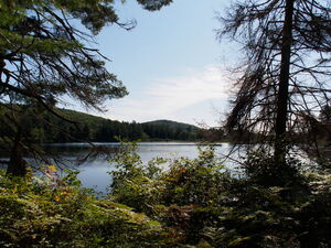 along the Five Mile Rapids portage in Algonquin Provincial Park