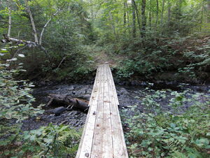 along the Five Mile Rapids portage in Algonquin Provincial Park