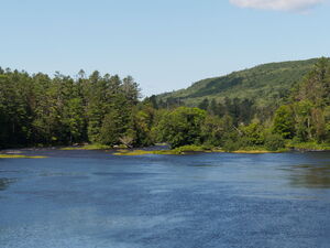 along the Five Mile Rapids portage in Algonquin Provincial Park