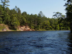 along the Five Mile Rapids portage in Algonquin Provincial Park