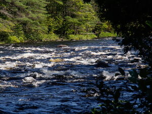 along the Five Mile Rapids portage in Algonquin Provincial Park