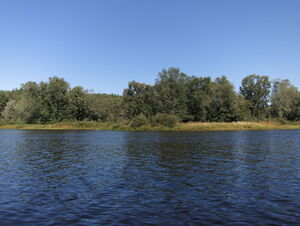 three nights on Whitson Lake