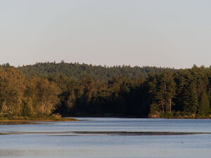 Whitson Lake in Algonquin Provincial Park