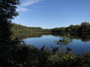 Whitson Lake in Algonquin Provincial Park