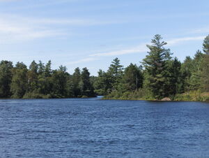 top of McManus Lake in Algonquin Provincial Park