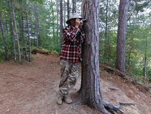 Photographing Whitson Lake in Algonquin Park