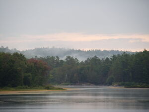The outlet of Whitson Lake in Algonquin Park through the rain