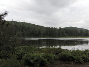 The big hill on Whitson Lake as seen from the end of the Five Mile Rapids portage