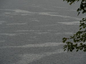 More rain