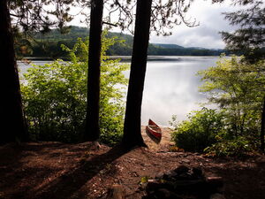 Some morning sun on Whitson Lake in Algonquin Park