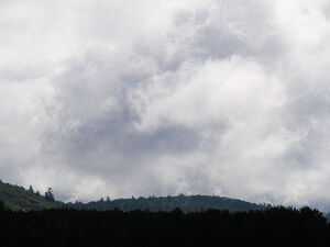 Morning cloud on Whitson Lake in Algonquin Park