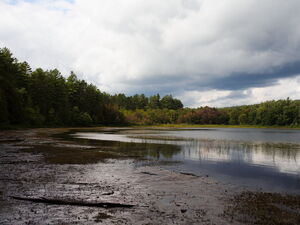 Low water in Whitson Lake in Algonquin Park