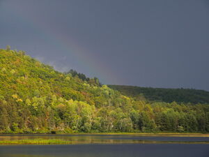 Clearing after the thunderstorm on Whitson Lake