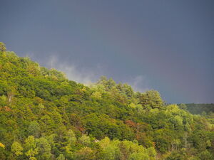 Clearing after the thunderstorm on Whitson Lake