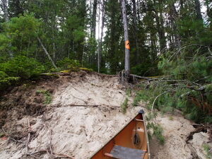 Exploring Five Mile Rapids  the portage trail and a campsite is at the top of the sand bank