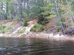 Exploring Five Mile Rapids  the sand bank along along the Petawawa River