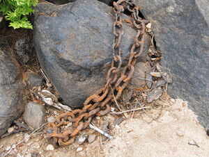 Exploring Five Mile Rapids  an old logging chain exposed by the low water