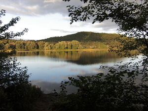 Clearing  on Whitson Lake in Algonquin Park