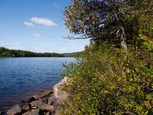 Smith Lake in Algonquin Park