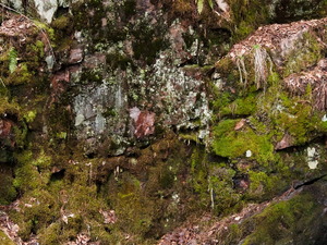 Early spring drive into Algonquin Park  20230427  waterfall Achray