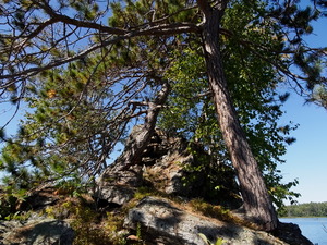 Canoe Trip  20230921  3 nights on Grand Lake