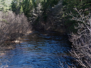 Early spring drive into Algonquin Park  20240410