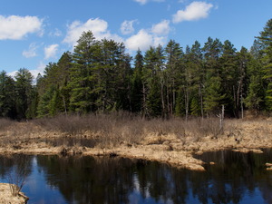 Early spring drive into Algonquin Park  20240410