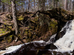 Early spring drive into Algonquin Park  20240410