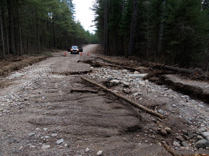 Early spring drive into Algonquin Park  20240410