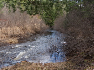 Early spring drive into Algonquin Park  20240410