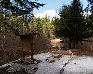 Early spring drive into Algonquin Park  20240410