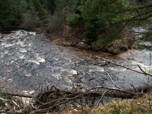 Early spring drive into Algonquin Park  20240410