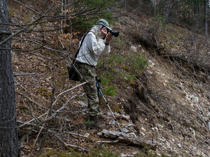 Early spring drive into Algonquin Park  20240410