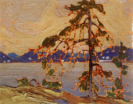 Sketch for The Jack Pine