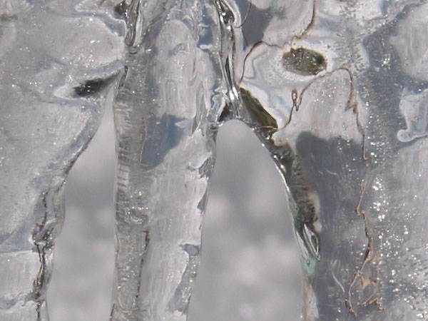 icicle