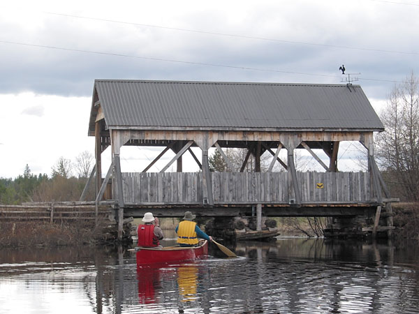 marsh on Chalk River