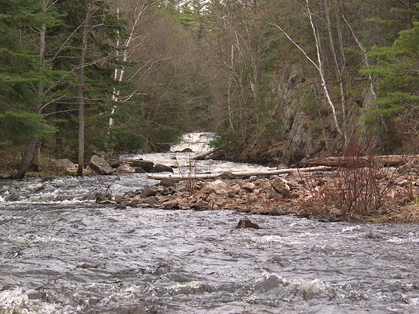 Cache Rapids on the Barron River
