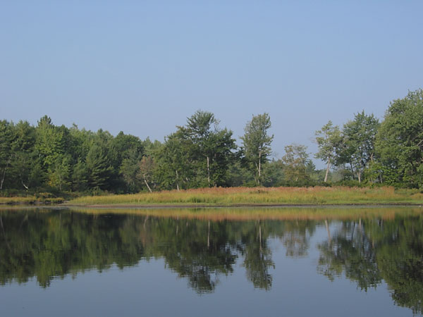 Late Summer Day